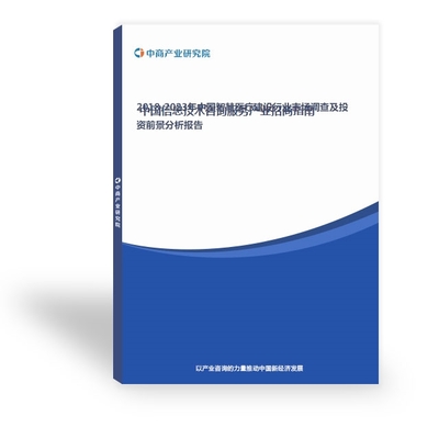 现代社会中的电子信息报告与信息技术咨询服务 价值、挑战与前景