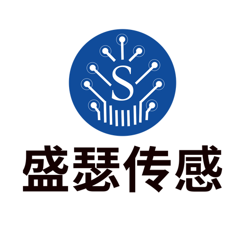 成都盛瑟传感技术 引领信息技术咨询服务新浪潮