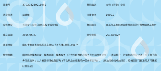 青岛美丽校园信息技术